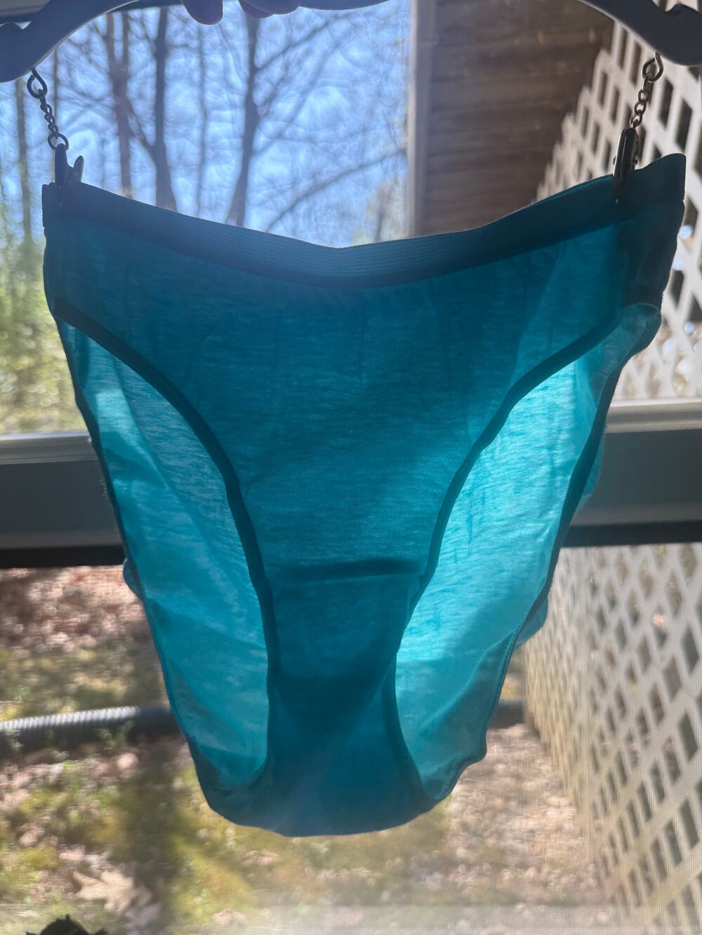 Vintage 90s Ashley Taylor Intimates Size 5 100% Cotton Panties Baby Blue